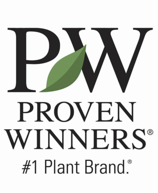 Proven Winners Annuals
